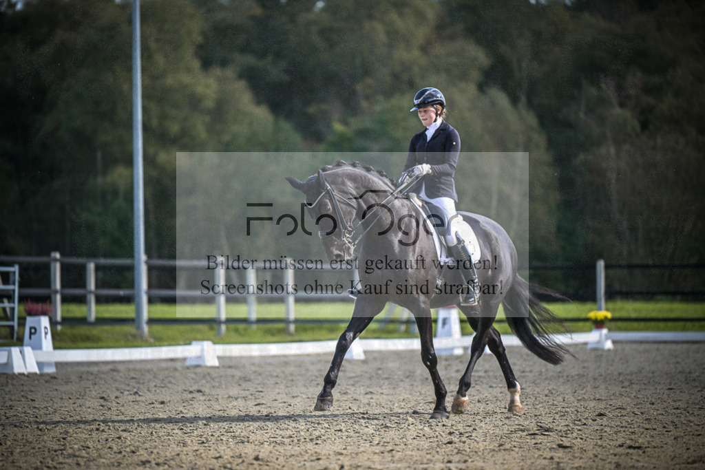DOS_0258 | Entdecke hochwertige Reitturnierfotos von Foto Oger. Professionell, emotional und authentisch – jetzt Lieblingsmomente im Shop bestellen.Deutschlandweite Turnierfotografie. - Realisiert mit Pictrs.com