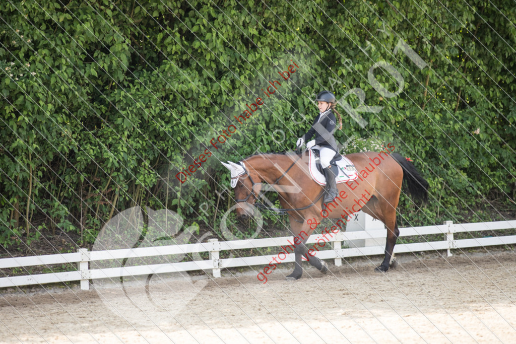 IMG_3486 | Sport-, Event- und Tierfotos in Profiqualität. Einfach auswählen, bestellen und herunterladen. Dein Moment – perfekt festgehalten.