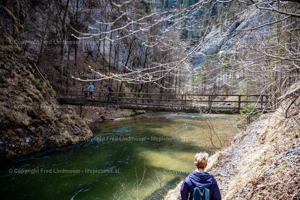 Klausgraben Salzatal Mariazellerland 01052021-3460 | Fotos und Fotoprodukte - Realisiert mit Pictrs.com