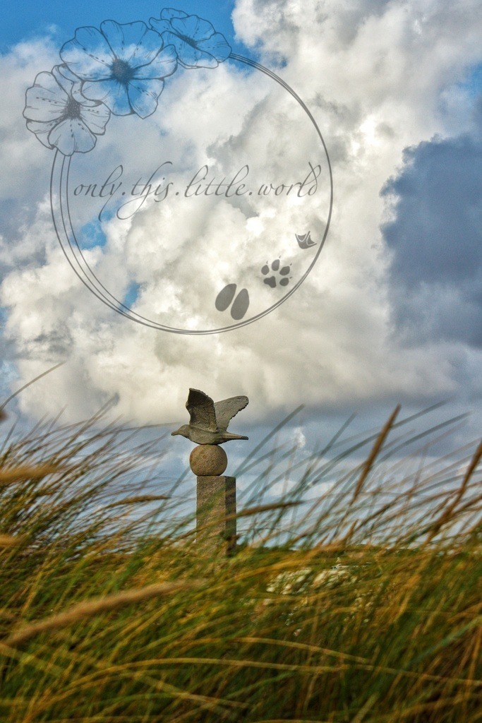 IMG_9101-02 | only.this.little.world - Realisiert mit Pictrs.com