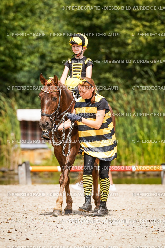 DSC02958 | Pferdegrafie