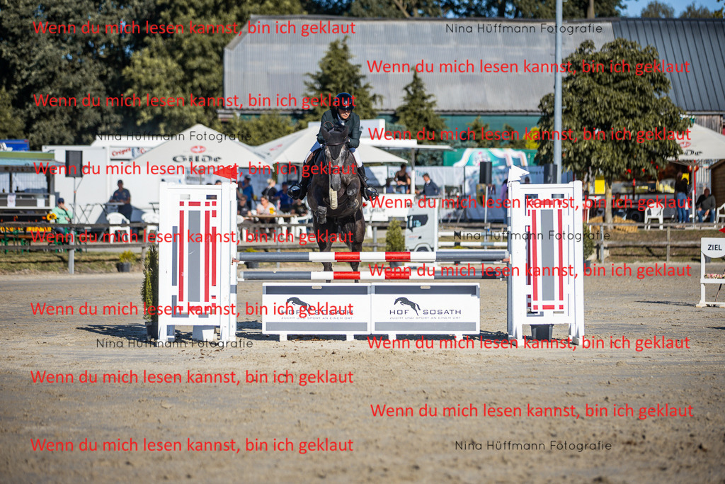 BK1A6148 | Turnierbilder Turnierfotos Nina Hüffmann Turnierfotografie Pferdefotografie Tierzeichnung Haustierzeichnung Pferdezeichnung Hundezeichnung Videograf  - Realisiert mit Pictrs.com