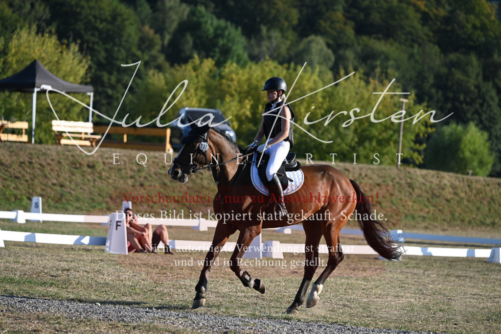 DSC_9144 | Pferde- und Turnierfotografie in Westsachsen. Pferdeportraits, Auftragszeichnungen und intuitive Kunst.