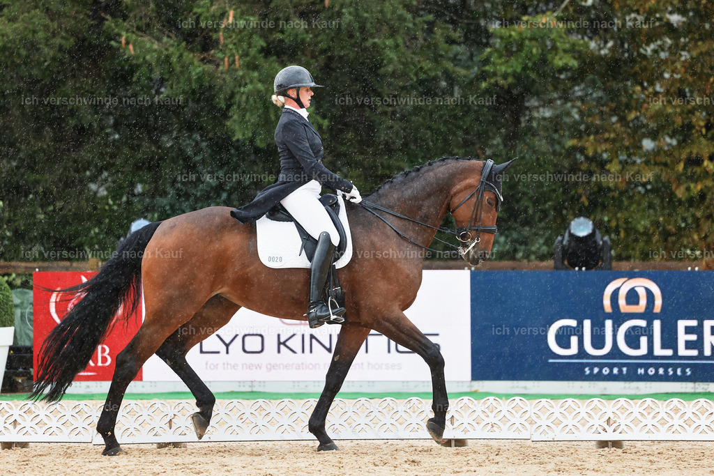 8_1-020-Klasse S_  -StoibPH-3983 | working equitationturnier fotograf videograf stoibphotography marixx film working equitation deutschland reitsport turnierfotografie eventfotografie equestrian events