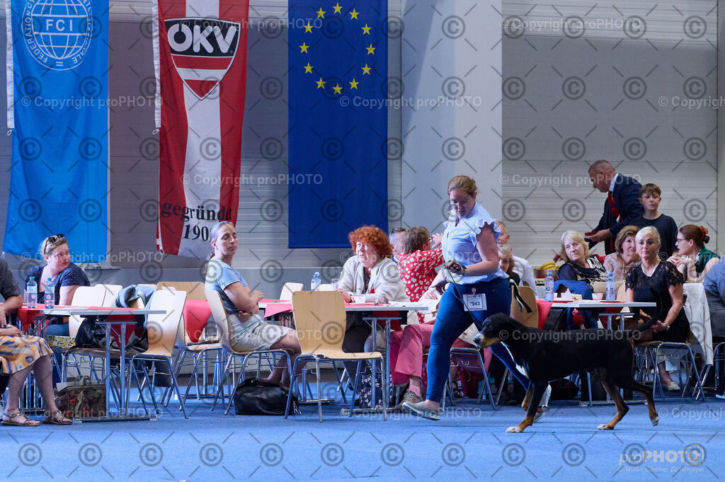 202406_ÖKV-IHA-Tulln24_DSC_4010 | proPHOTO - Realisiert mit Pictrs.com