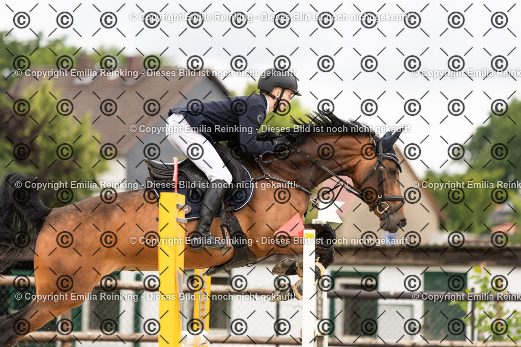 CL5A5108 | Emilia Reinking Fotografie - Realisiert mit Pictrs.com