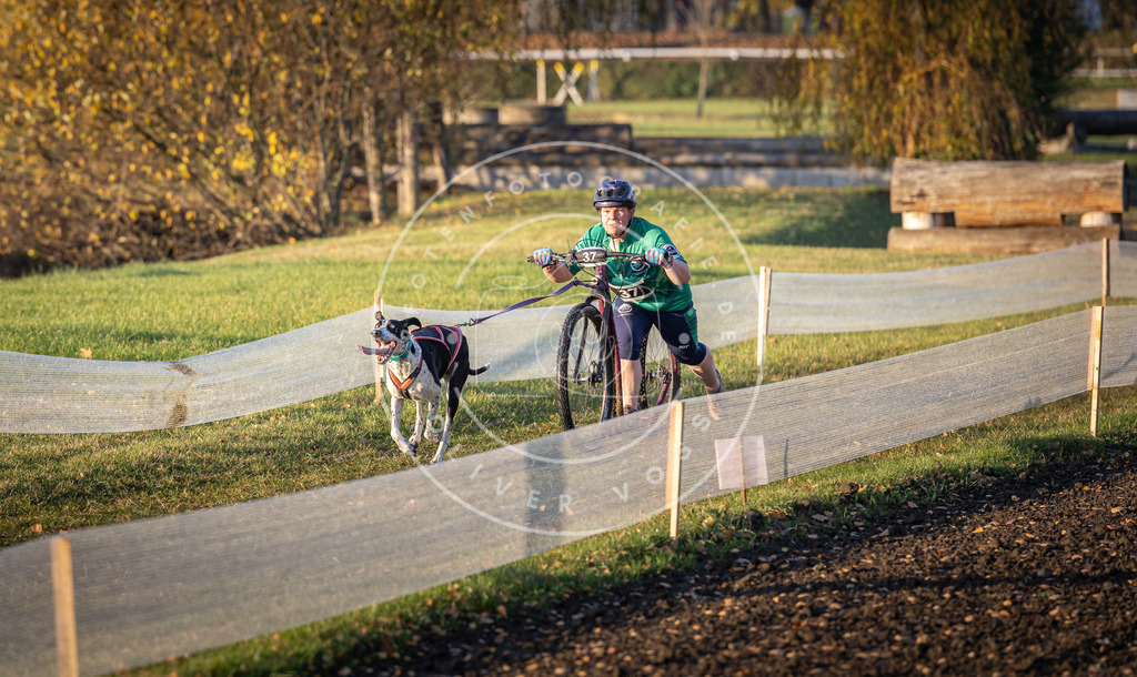 CaniXpix_DV3A0124 | Hundefotografie, Tierfotograf, Pfotenfotografie, Fotoshooting Hund, Hunde Portrait, Hundesport, Hundeportraits, Heideshooting, Hunde, Sportfotograf, Hundefotograf, Turnierhundsport, THS,  - Realisiert mit Pictrs.com