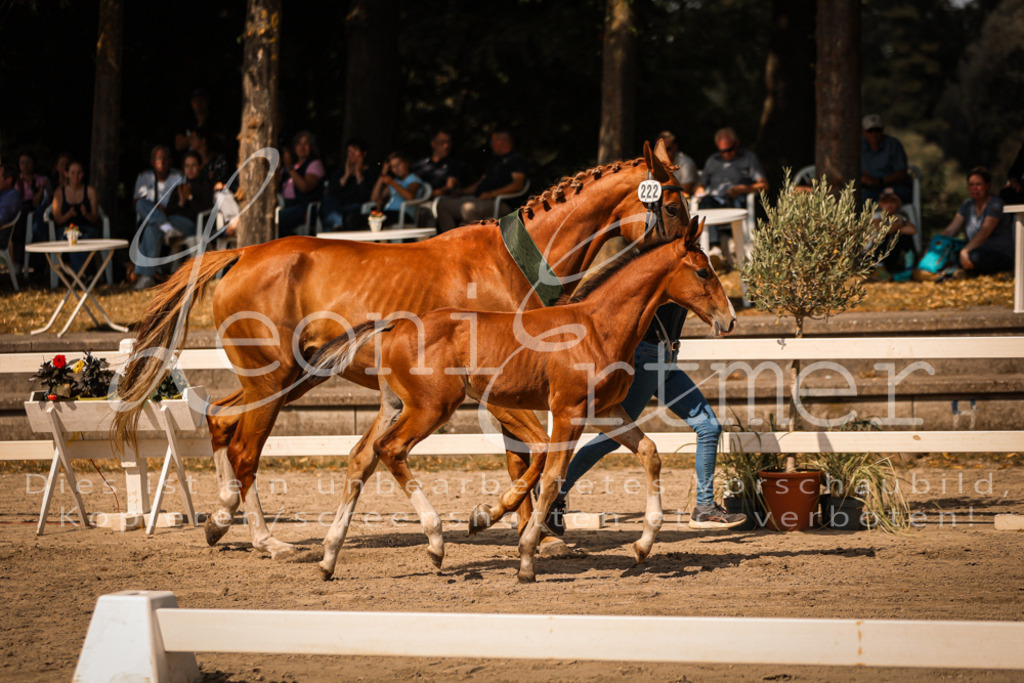 07.DoWBS00146 | Leoni Ertmer Photography - Realisiert mit Pictrs.com