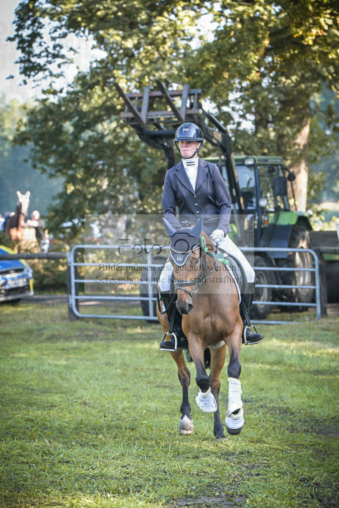 DOS_0035 | Entdecke hochwertige Reitturnierfotos von Foto Oger. Professionell, emotional und authentisch – jetzt Lieblingsmomente im Shop bestellen.Deutschlandweite Turnierfotografie. - Realisiert mit Pictrs.com