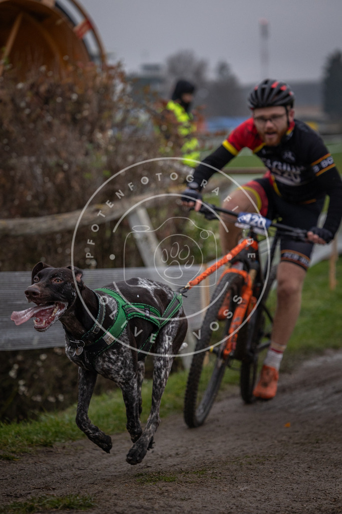 CaniXpix_0L8A1626 | Hundefotografie, Tierfotograf, Pfotenfotografie, Fotoshooting Hund, Hunde Portrait, Hundesport, Hundeportraits, Heideshooting, Hunde, Sportfotograf, Hundefotograf, Turnierhundsport, THS,  - Realisiert mit Pictrs.com