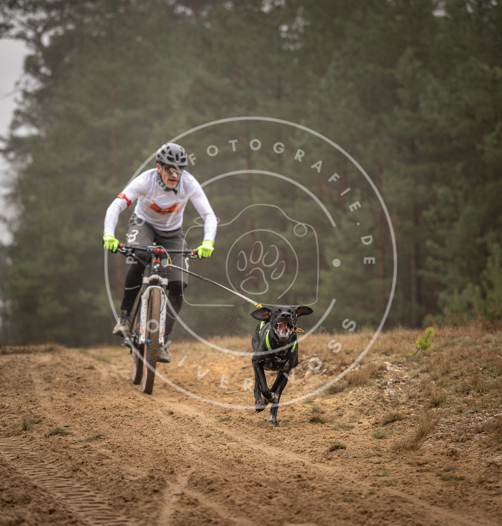 Pfotenfotografie_DV3A2619 | Hundefotografie, Tierfotograf, Pfotenfotografie, Fotoshooting Hund, Hunde Portrait, Hundesport, Hundeportraits, Heideshooting, Hunde, Sportfotograf, Hundefotograf, Turnierhundsport, THS,  - Realisiert mit Pictrs.com
