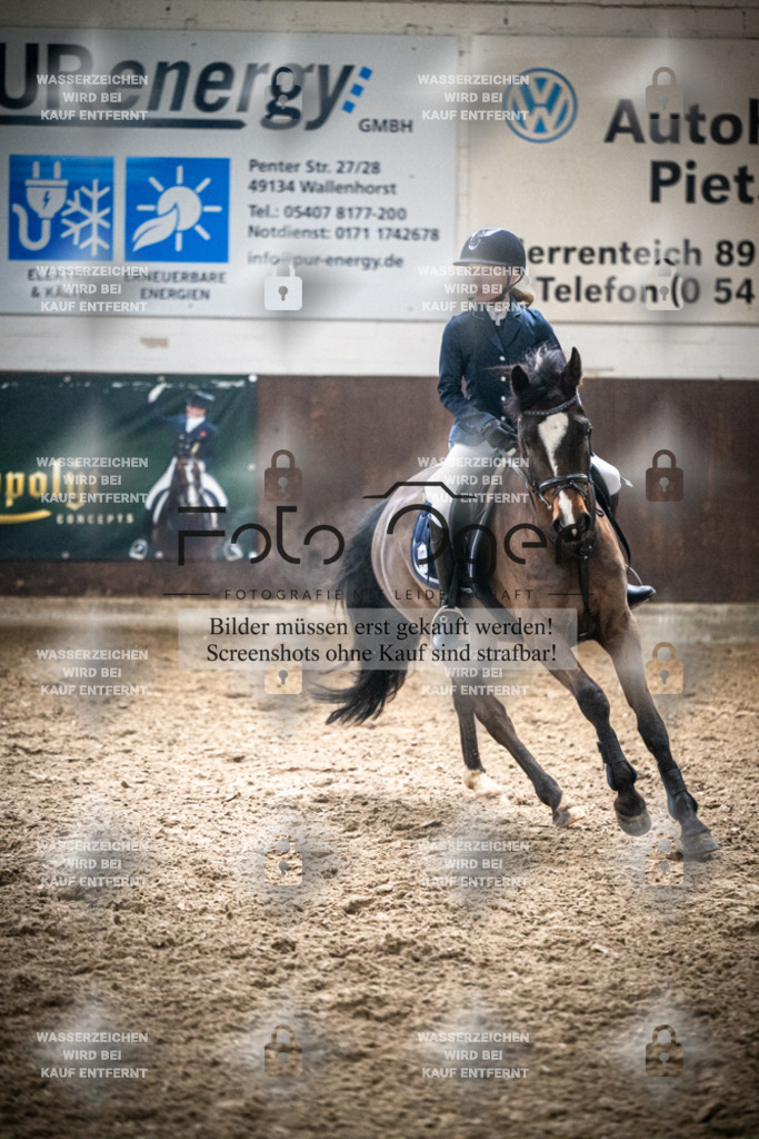 DOS_0673 | Entdecke hochwertige Reitturnierfotos von Foto Oger. Professionell, emotional und authentisch – jetzt Lieblingsmomente im Shop bestellen.Deutschlandweite Turnierfotografie. - Realisiert mit Pictrs.com