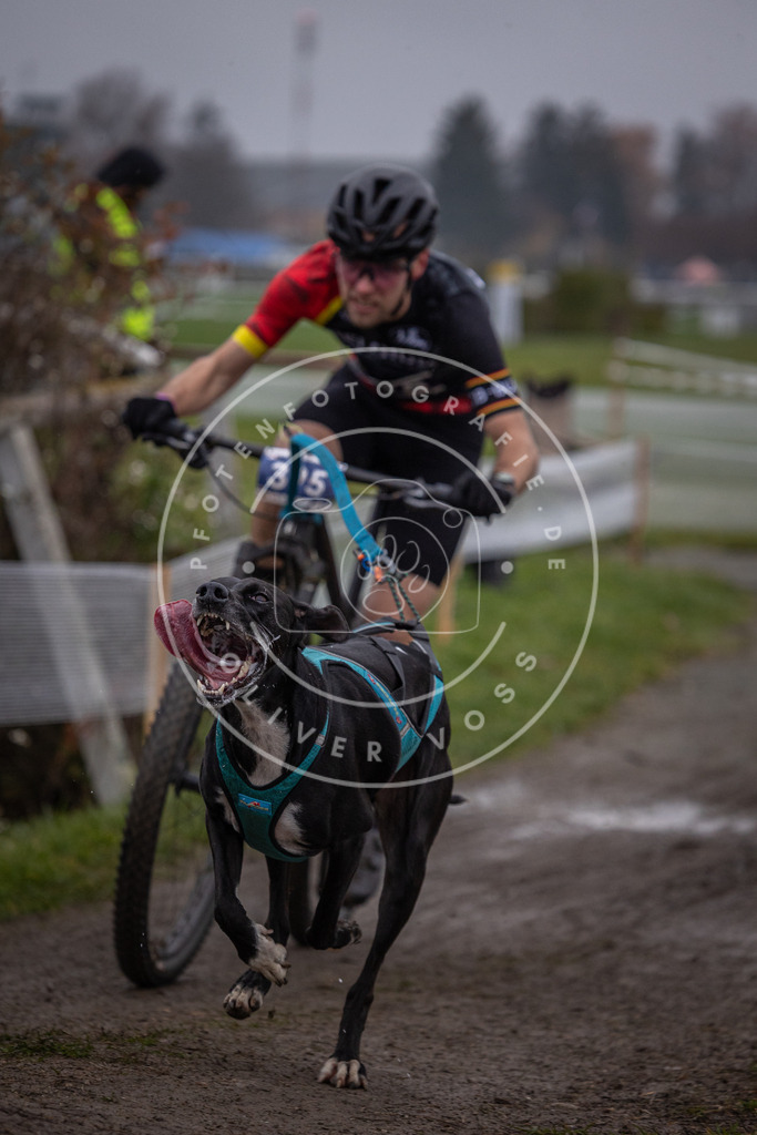 CaniXpix_0L8A1405 | Hundefotografie, Tierfotograf, Pfotenfotografie, Fotoshooting Hund, Hunde Portrait, Hundesport, Hundeportraits, Heideshooting, Hunde, Sportfotograf, Hundefotograf, Turnierhundsport, THS,  - Realisiert mit Pictrs.com