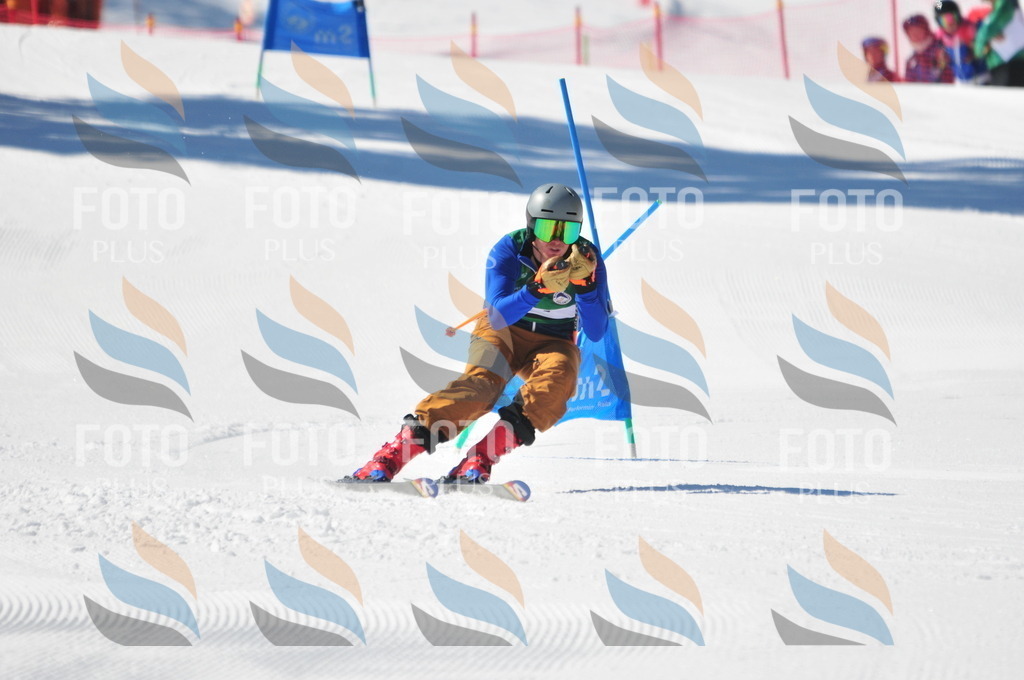 C3329 | holidayphoto