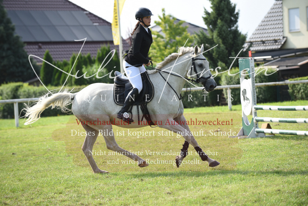 DSC_8913 | Pferde- und Turnierfotografie in Westsachsen. Pferdeportraits, Auftragszeichnungen und intuitive Kunst.