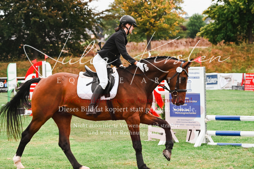 DSC_5982 | Pferde- und Turnierfotografie in Westsachsen. Pferdeportraits, Auftragszeichnungen und intuitive Kunst.