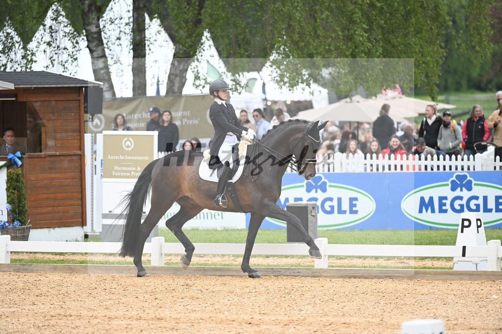 Abbelen_Sam Donnerhall_11232396 | hf-fotografie - Realisiert mit Pictrs.com