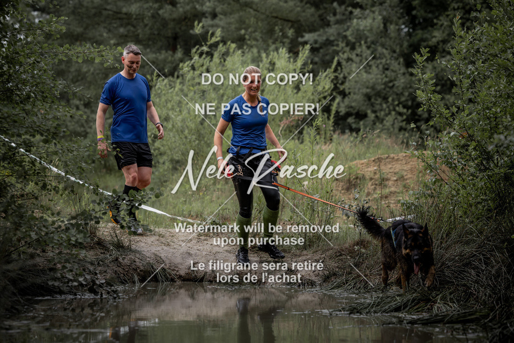 nelerasche_so0800-0930_09 | nelerasche