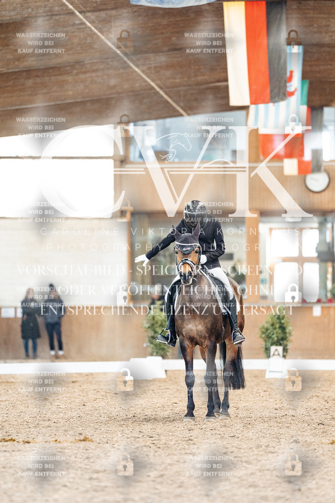 CK908033 | Turnierfotografie Pferdefotografie Trier Rheinland-Pfalz Pferdesport Reitsport Tierfotografie Sportfotografie Pferdevideo Pferdevideografie Equestrianvideography equestrianphotography  - Realized with Pictrs.com