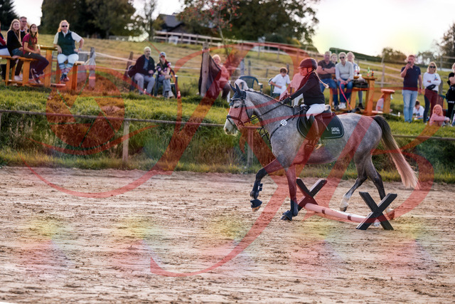 2026_10_03_Siefer-Hof_145110_Z81_29675044 | Professionelle Reitsport-, Turnier- und Eventfotografie von Robert Broda. Galerien mit ausgewählten und bearbeiteten Bildern direkt online ansehen und bestellen.