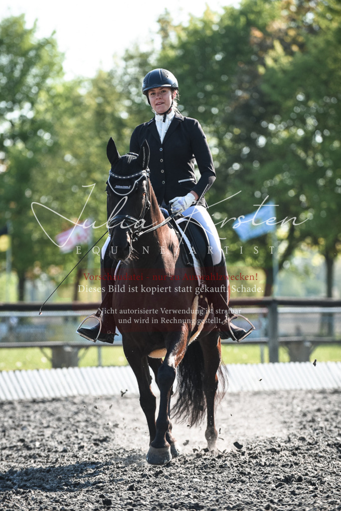 DSC_8370 | Pferde- und Turnierfotografie in Westsachsen. Pferdeportraits, Auftragszeichnungen und intuitive Kunst.
