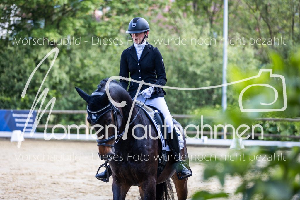 Donop24-A-Dre-073 | MomenTaufnahmen Pferdesportfotos