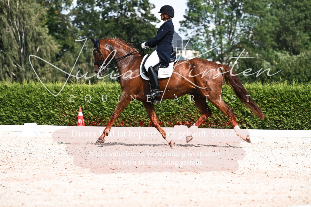 DSC_3192 | Pferde- und Turnierfotografie in Westsachsen. Pferdeportraits, Auftragszeichnungen und intuitive Kunst.