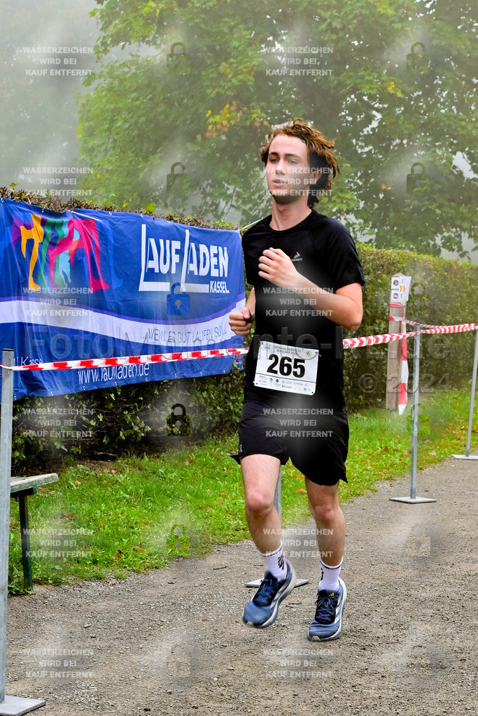 Z8N_2210 | la-psv - Realisiert mit Pictrs.com