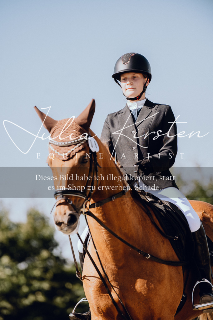 DSC_7272 | Pferde- und Turnierfotografie in Westsachsen. Pferdeportraits, Auftragszeichnungen und intuitive Kunst.