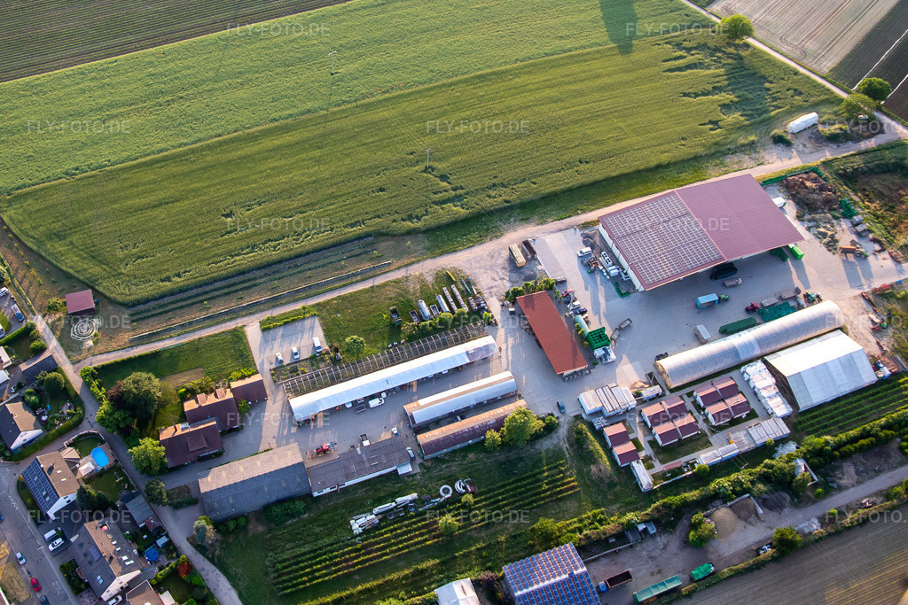 Luftbild: Biohof Kugelmann in Kandel im Bundesland Rheinland-Pfalz in Deutschland. Foto: IMG_136272.jpg vom 07.06.2023 durch Werner Riehm/FLY-FOTO.dePfalzBio