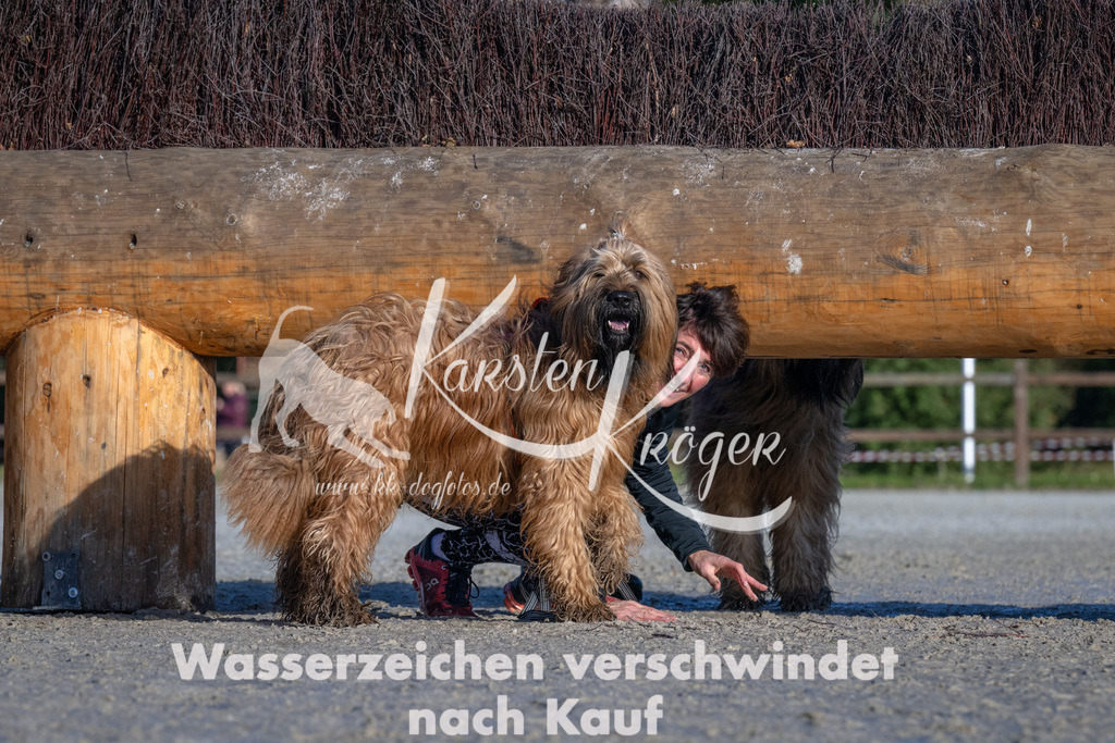 1028-_ZZ91306 | kk-dogfotos