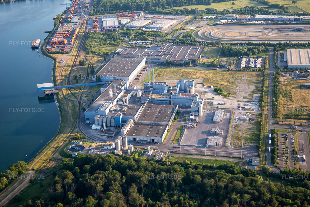 Luftbild: Papierfabrik Palm GmbH & Co. KG | Werk Wörth am Rhein in Wörth am Rhein im Bundesland Rheinland-Pfalz in Deutschland. Foto: IMG_136261.jpg vom 07.06.2023 durch Werner Riehm/FLY-FOTO.dePalm Gruppe - Papier Verpackung Recycling: Palm Gruppe