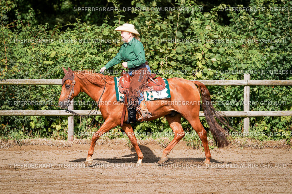 DSC00096 | Pferdegrafie