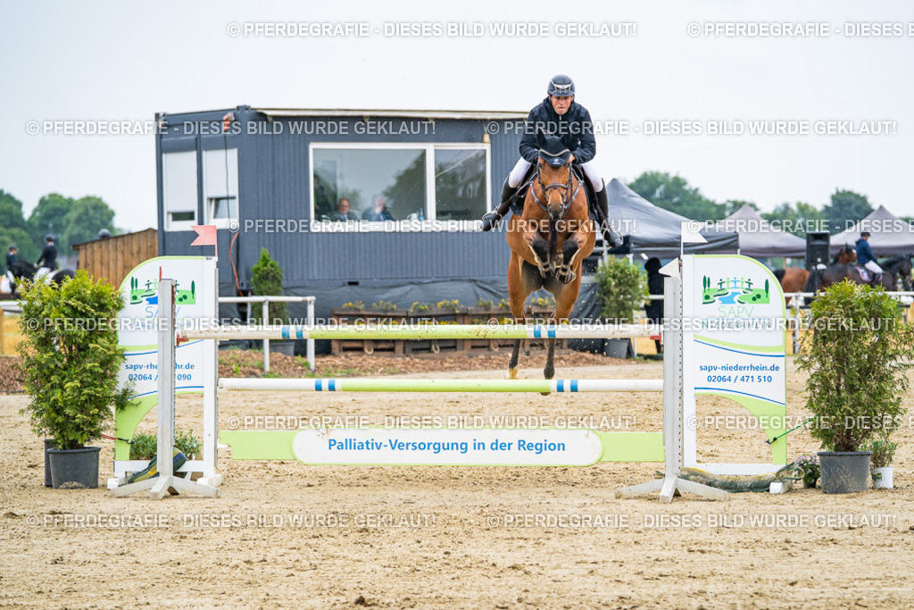 DSC09318 | Pferdegrafie