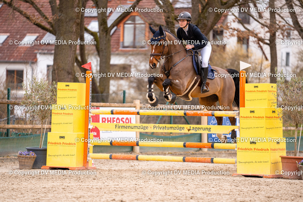 Kranichstein Tag 2-164 | dv-media-shop - Realisiert mit Pictrs.com