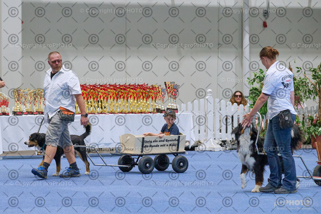 202406_ÖKV-IHA-Tulln24_DSC_4649 | proPHOTO - Realisiert mit Pictrs.com