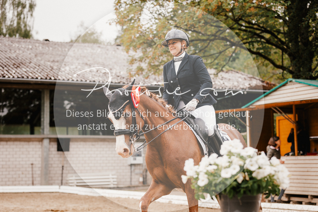3I6A7881 | Stimmungsvolle Portraits und Reitsportfotografie im Ruhrgebiet und im Münsterland.

Pferdefotografie, Hundefotografie, Tierfotografie, Reportagen, Portraits von Tier und Mensch, Turnierfotografie in Bochum, Recklinghausen, Marl, Haltern am See, Dülmen.. - Realisiert mit Pictrs.com