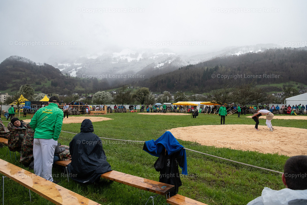 Schwingen -  Rheintal-Oberländer 2024 | Trübbach, 24.3.24, Schwingen - Rheintal-Oberländer.
