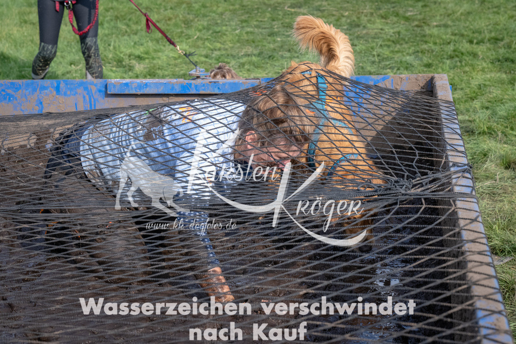 1609_ZZ91802 | kk-dogfotos