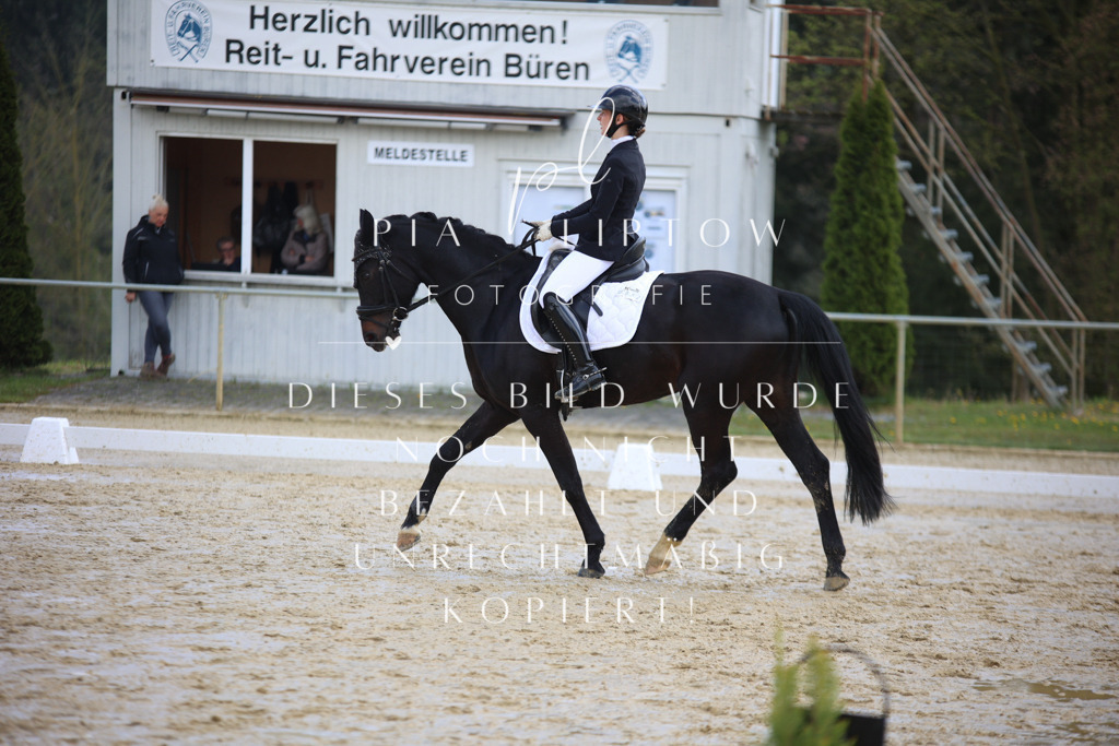 IMGT3581 | pl-fotografie