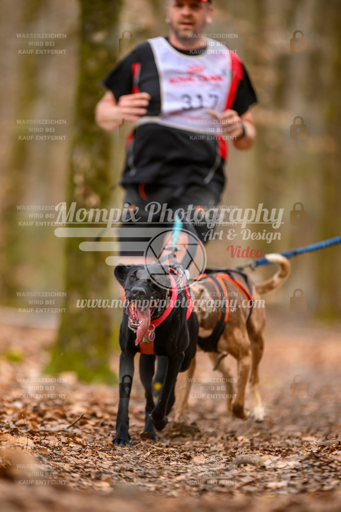 MompixPhotography_Habay2025_SA_CCC-232 | PayLife