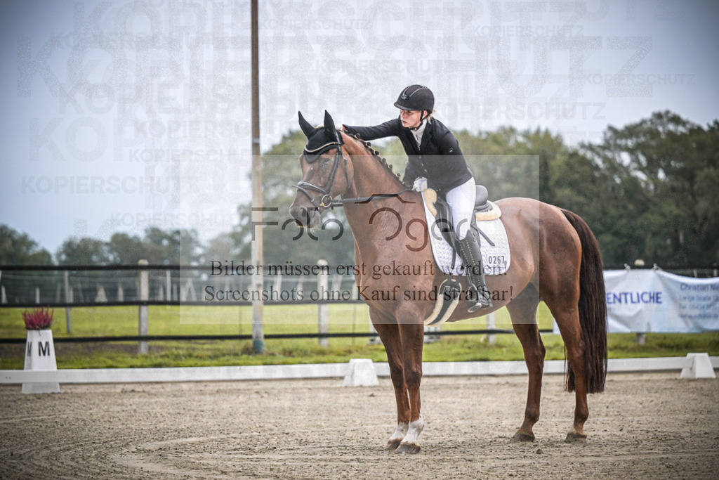 DOS_0234 | Entdecke hochwertige Reitturnierfotos von Foto Oger. Professionell, emotional und authentisch – jetzt Lieblingsmomente im Shop bestellen.Deutschlandweite Turnierfotografie. - Realisiert mit Pictrs.com