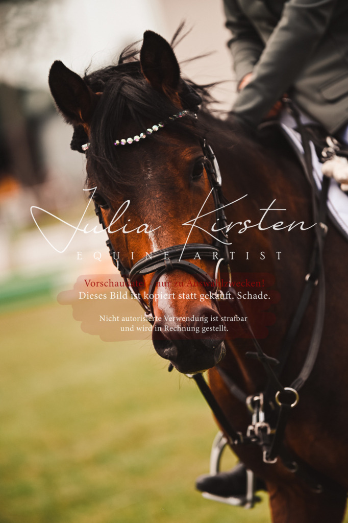 DSC_6942 | Pferde- und Turnierfotografie in Westsachsen. Pferdeportraits, Auftragszeichnungen und intuitive Kunst.