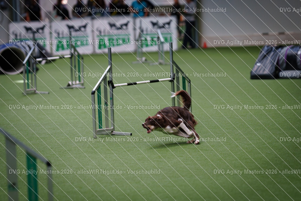allesWIRTHgut_Tierfotografie-DVG_Agility_Masters_2026-09_25-7R501622 | Professionelle Tierfotografie in Mönchengladbach von Daniel Wirth (allesWIRTHgut). Liebevolle & natürliche Bilder von Hunden & Katzen für unvergessliche Erinnerungen.