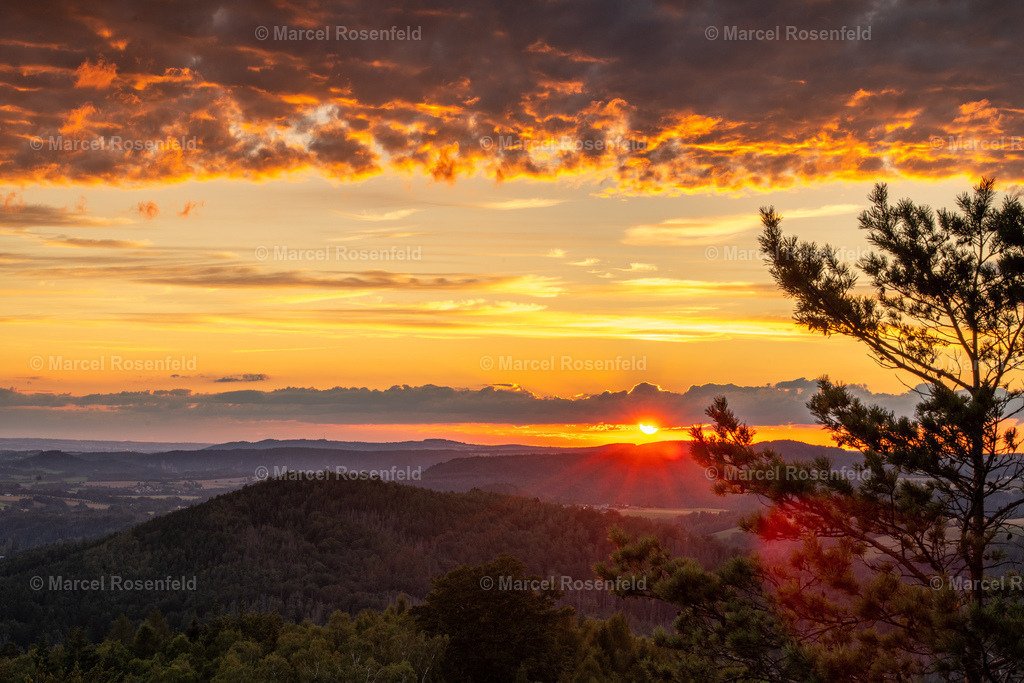 _DSC7537 | foto-rosenfeld