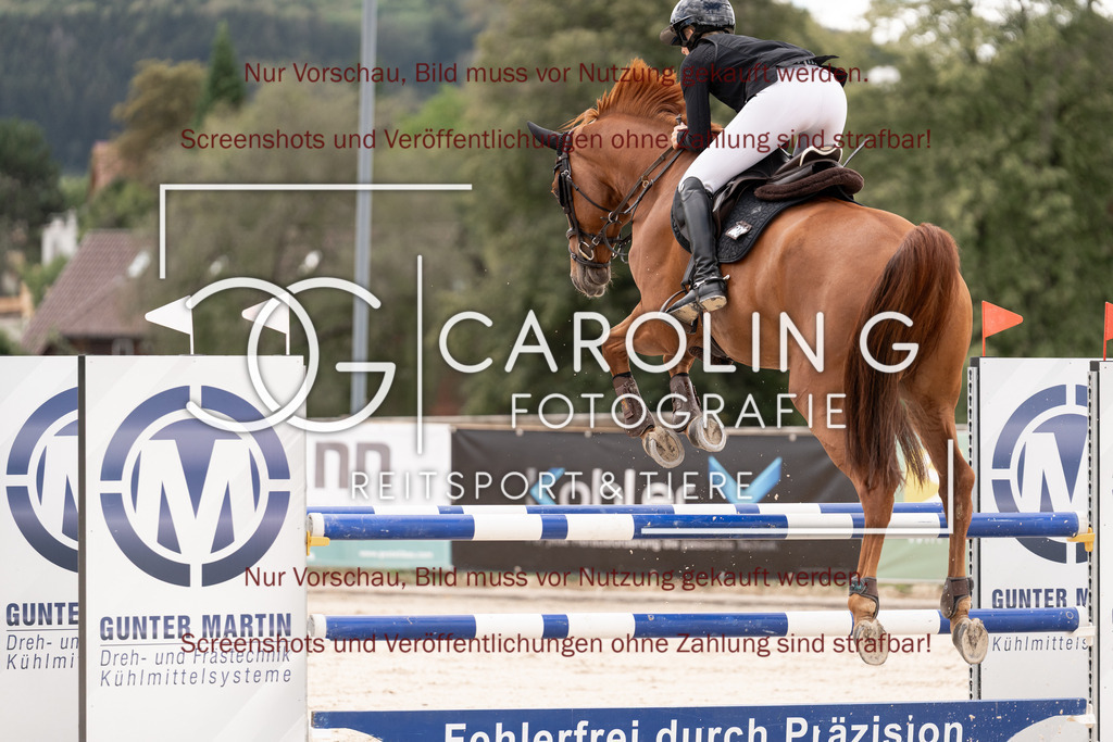 DSC06445 | Springturnier_Teamchallege_Talheim_2026, Vera_Haas, Argo_65