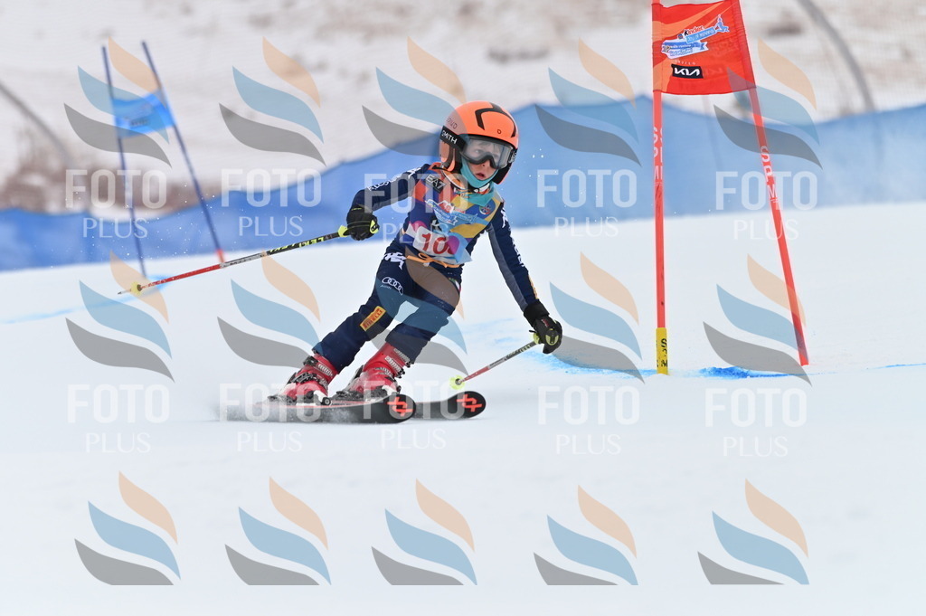 BGV_9387 | holidayphoto