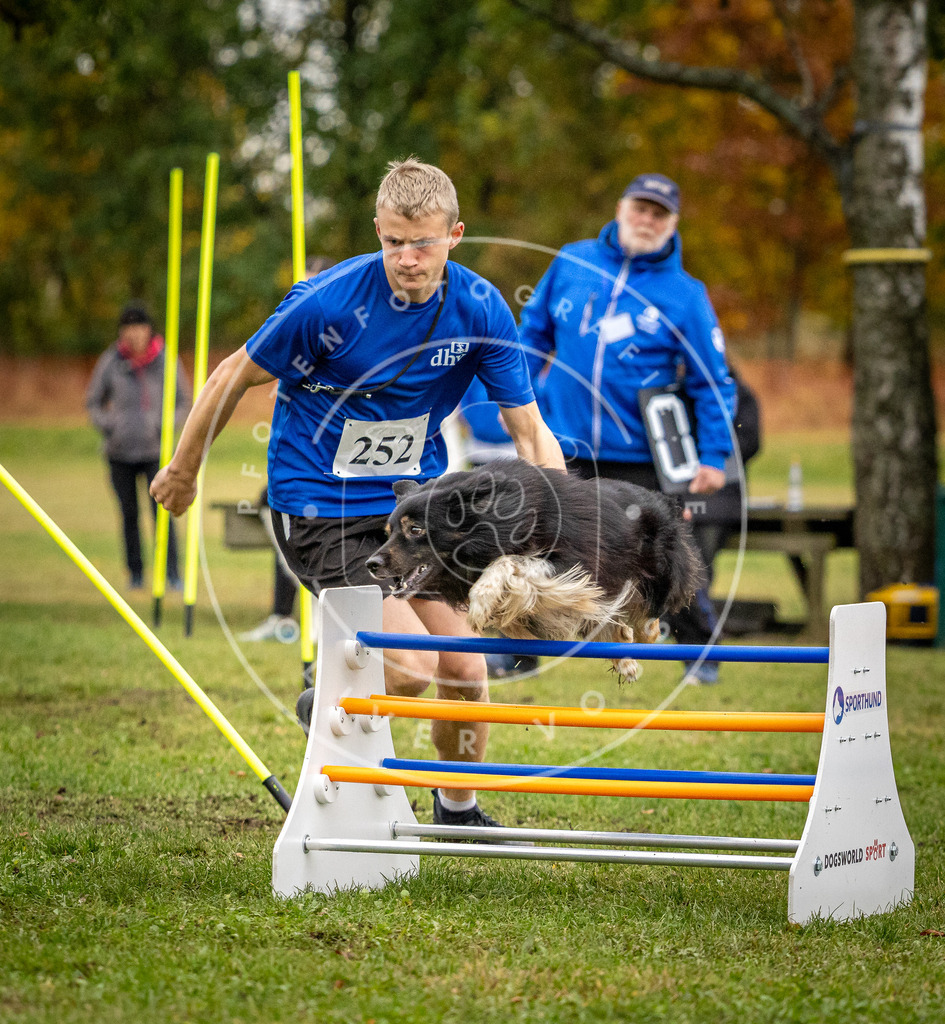 Pfotenfotografie_DV3A0524 | Hundefotografie, Tierfotograf, Pfotenfotografie, Fotoshooting Hund, Hunde Portrait, Hundesport, Hundeportraits, Heideshooting, Hunde, Sportfotograf, Hundefotograf, Turnierhundsport, THS,  - Realisiert mit Pictrs.com