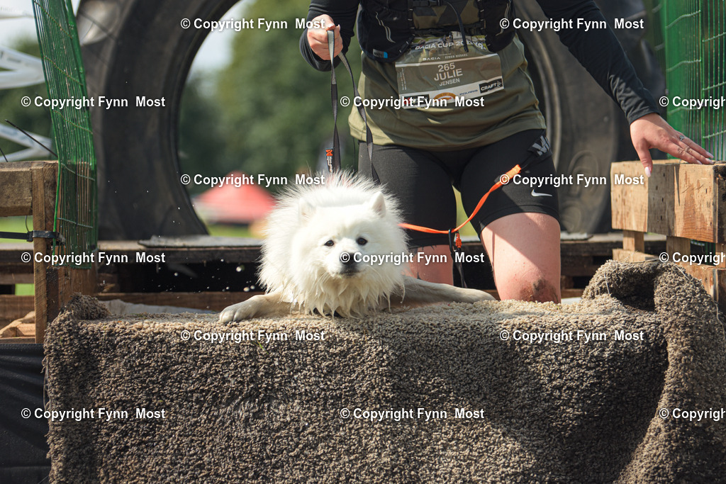 DSC_0838 | Hallo und herzlich Willkommen auf meiner Shop-Seite Fynn Most.

Ich wünsche Dir viel Spaß beim stöbern durch die Bilder, wenn Du Fragen hast oder Bilder vermisst, kannst du mir gerne eine Nachricht schreiben. - Realisiert mit Pictrs.com