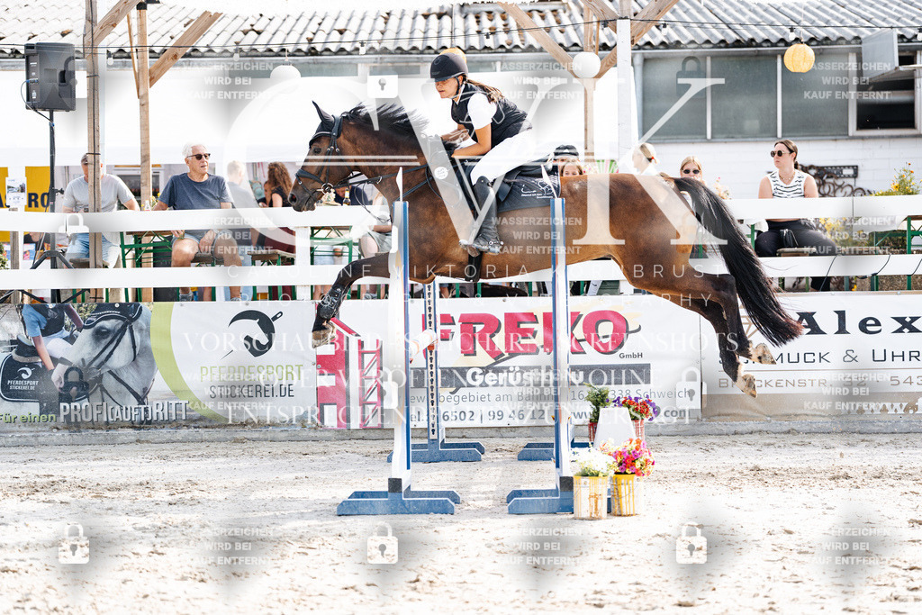 CK905864 | Turnierfotografie Pferdefotografie Trier Rheinland-Pfalz Pferdesport Reitsport Tierfotografie Sportfotografie Pferdevideo Pferdevideografie Equestrianvideography equestrianphotography  - Realisiert mit Pictrs.com